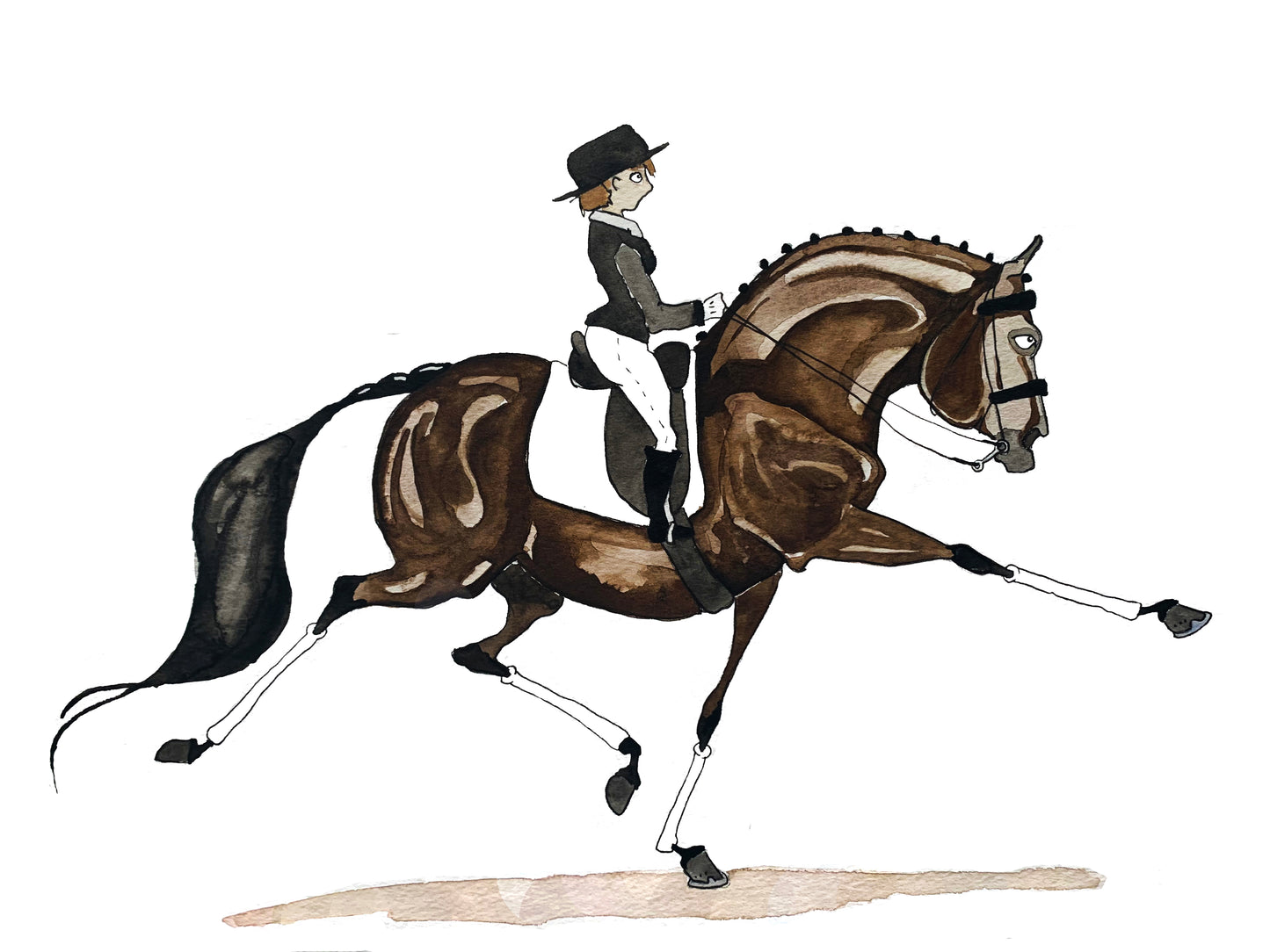 Bay Warmblood Dressage Print